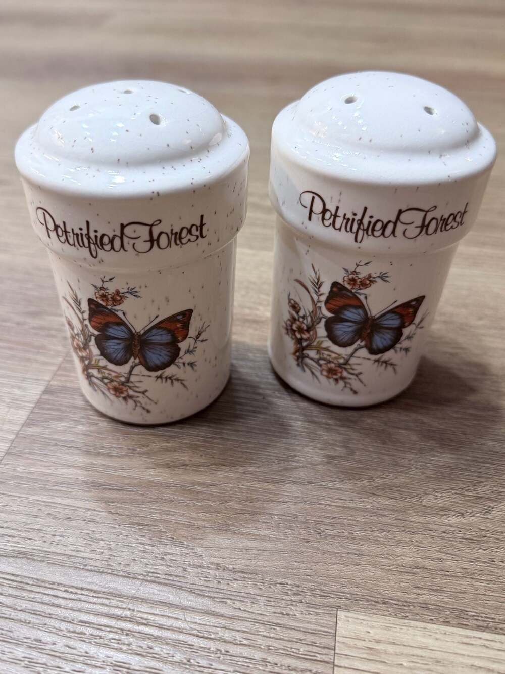 Vintage Petrified Forest Butterfly Large Salt and Pepper Shakers